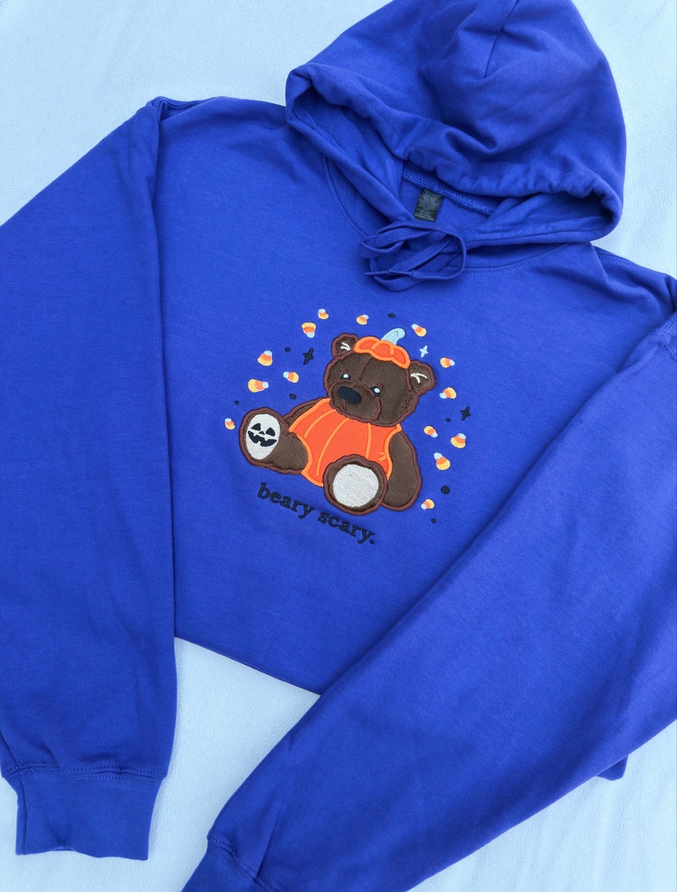 Beary Scary Applique Hoodie